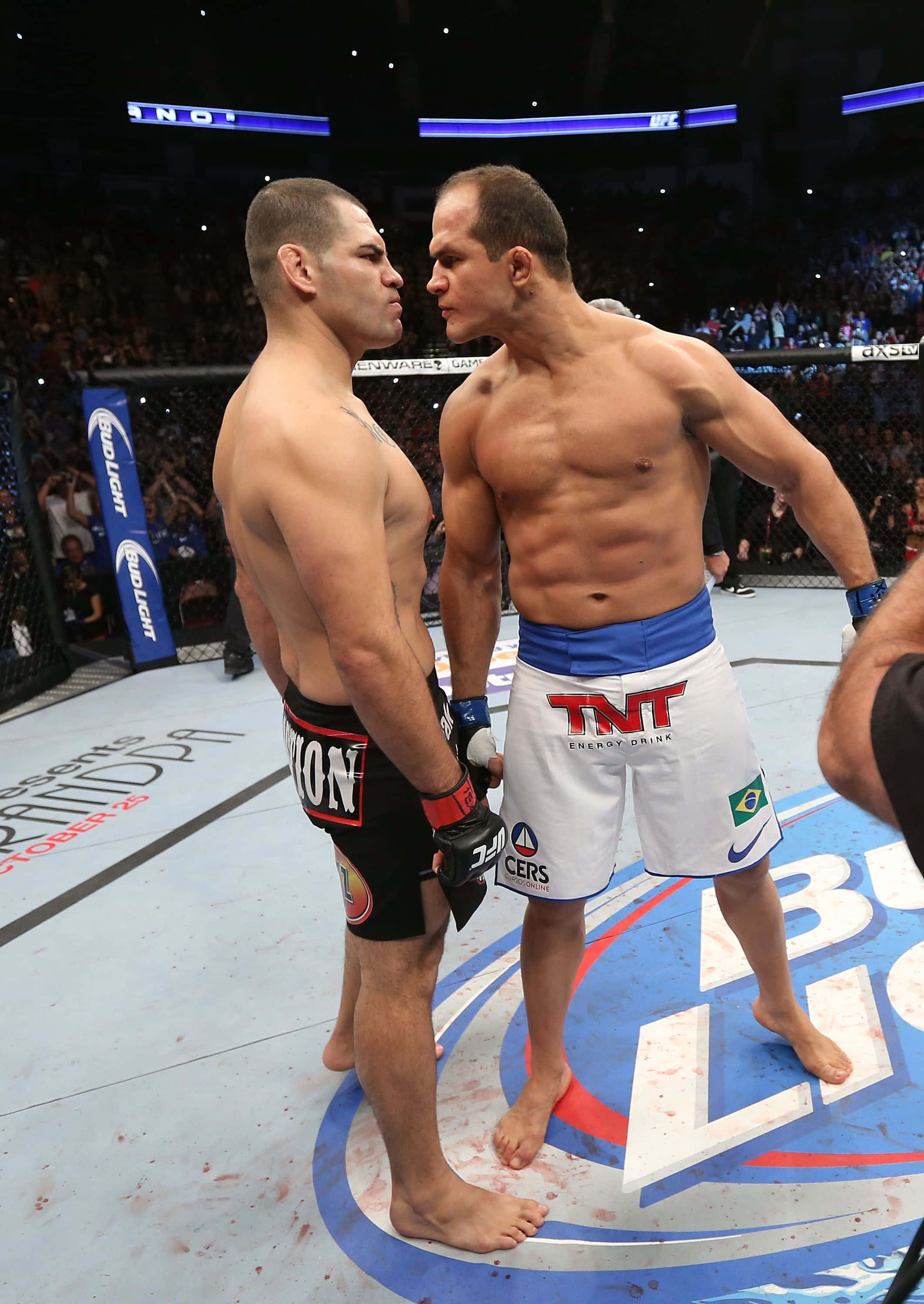 UFC on Fox 1上的朱尼尔·多斯·桑托斯 壁纸