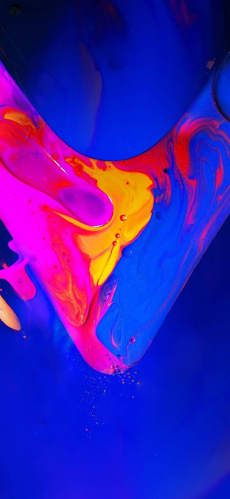 Vivo V20 对比艺术 壁纸