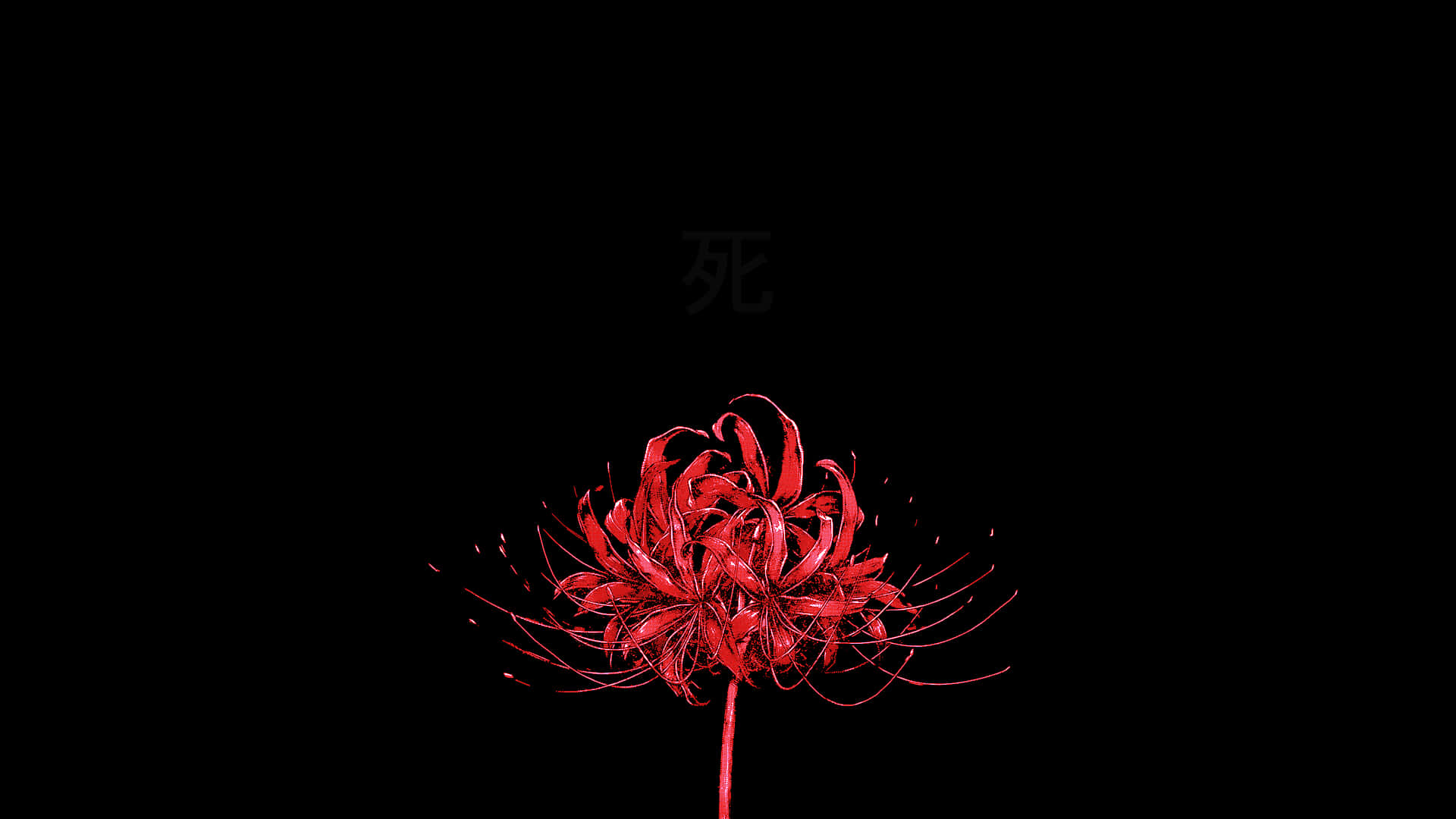 Vonflora 彼岸花