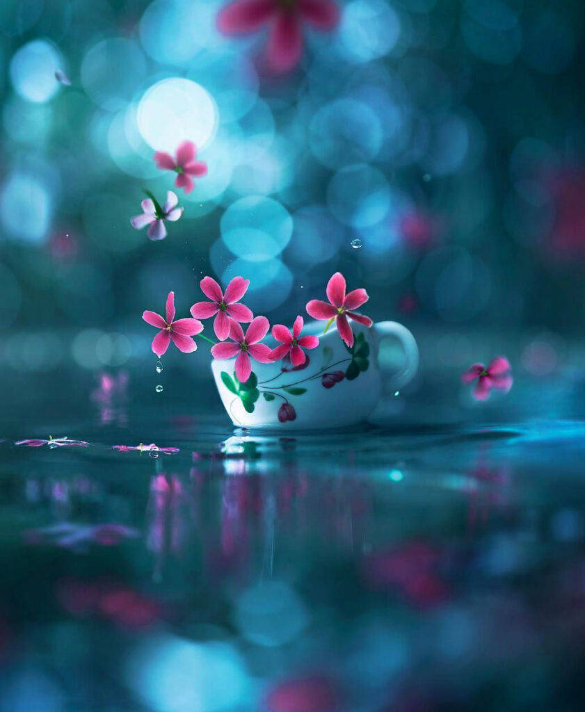 WhatsApp DP 花朵水杯 壁纸