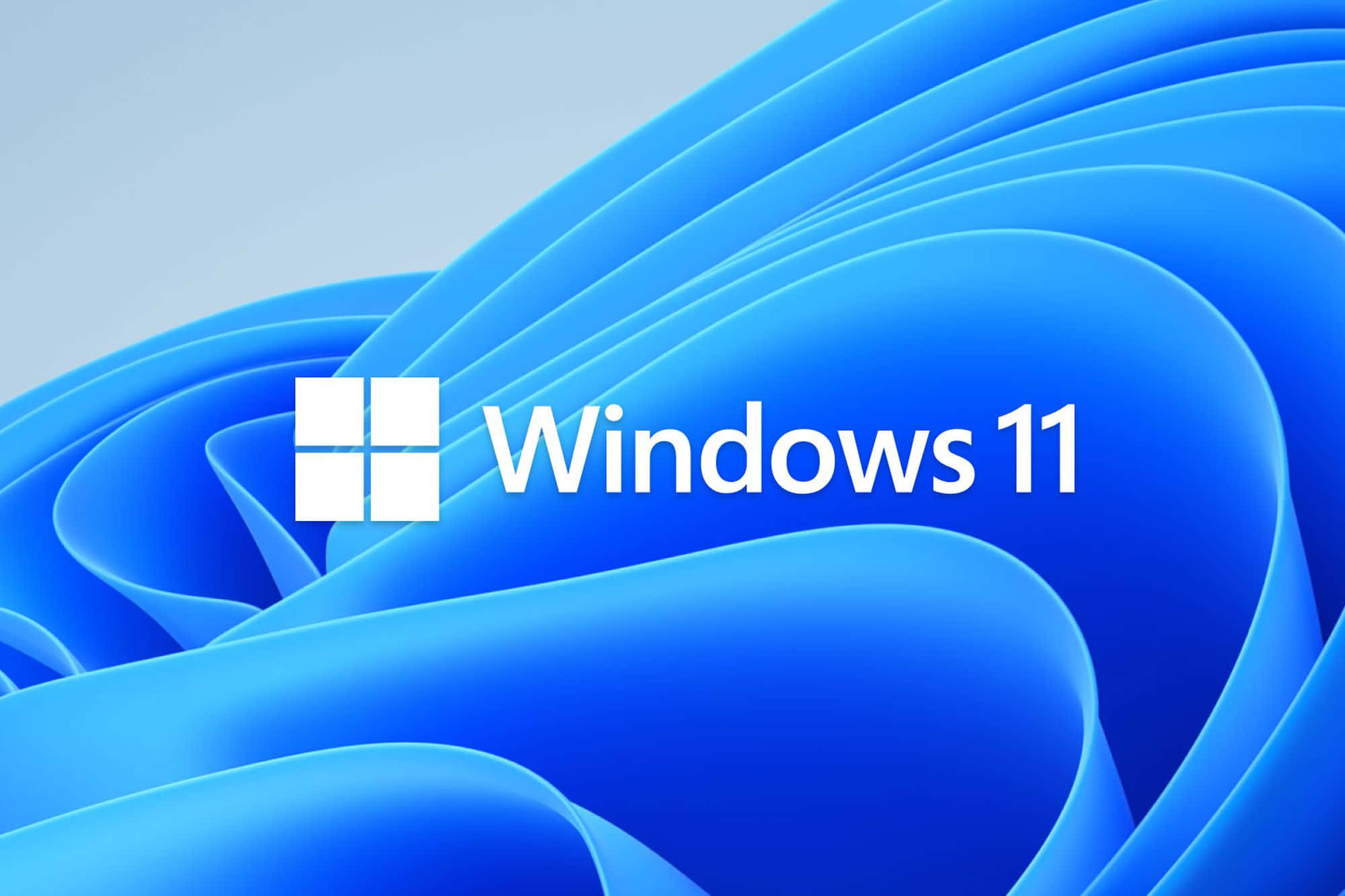 了解最新版Windows。 壁纸