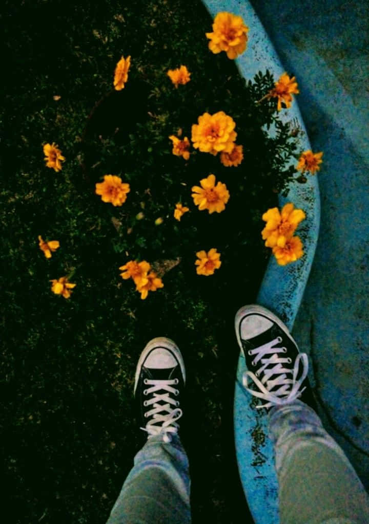 一个人站在人行道上，身旁有鲜花 壁纸