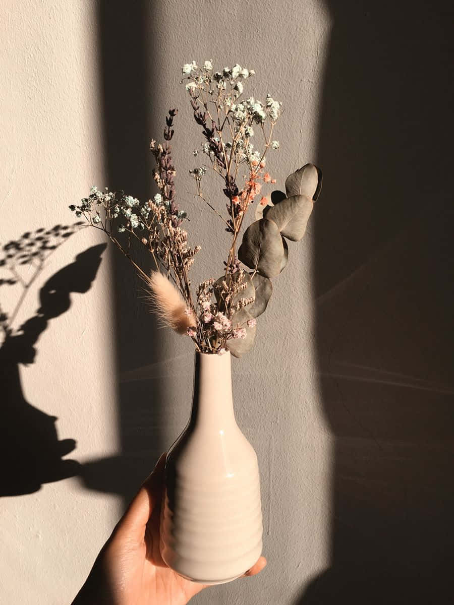 一个白色花瓶里插着几枝干花 壁纸