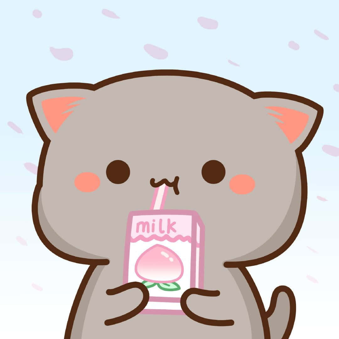 一只猫从纸盒里喝牛奶 壁纸