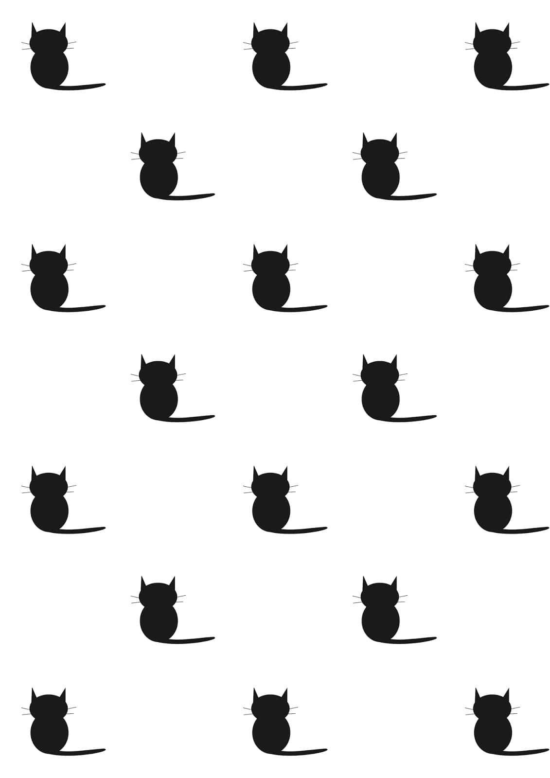 一只美丽的黑猫凝视着前方。 壁纸