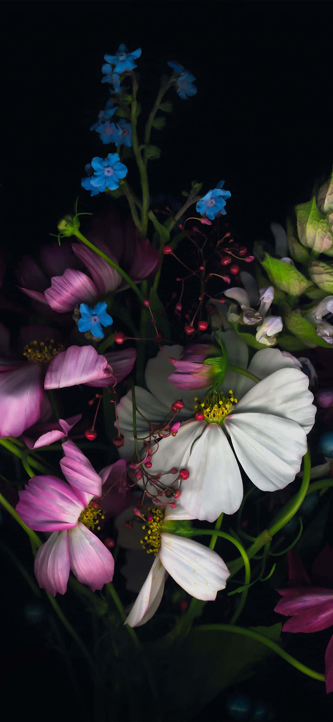 一束花瓶中的鲜花 壁纸
