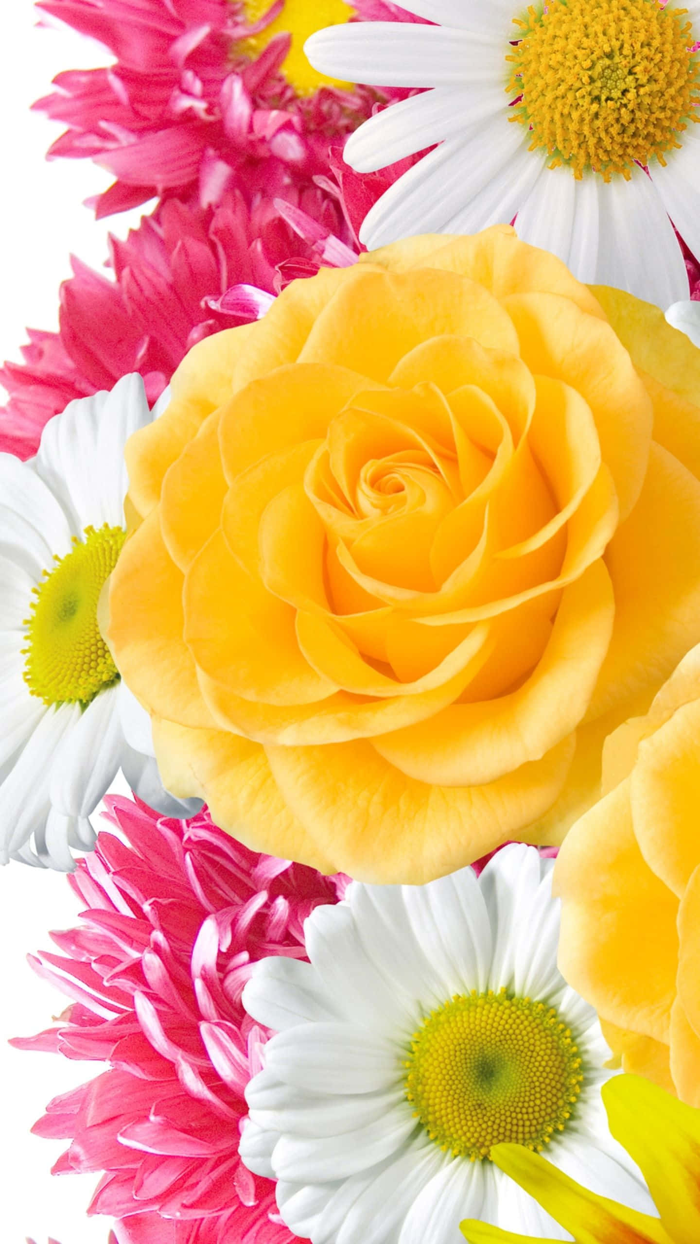 一束鲜花 壁纸