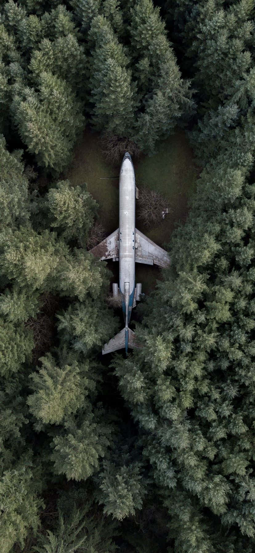 一架白色飞机在蓝色天空背景下飞行于iPhone上 壁纸