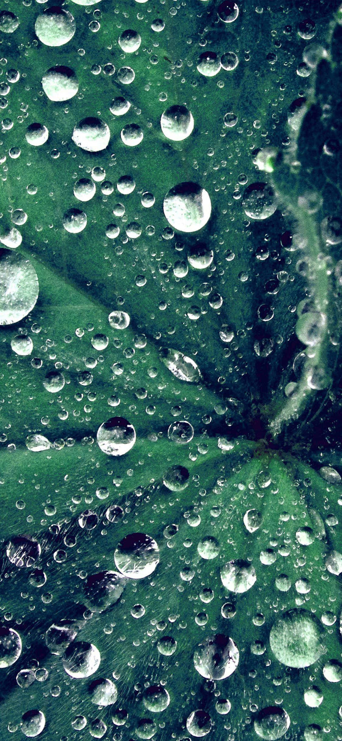 一颗闪耀的水滴 壁纸