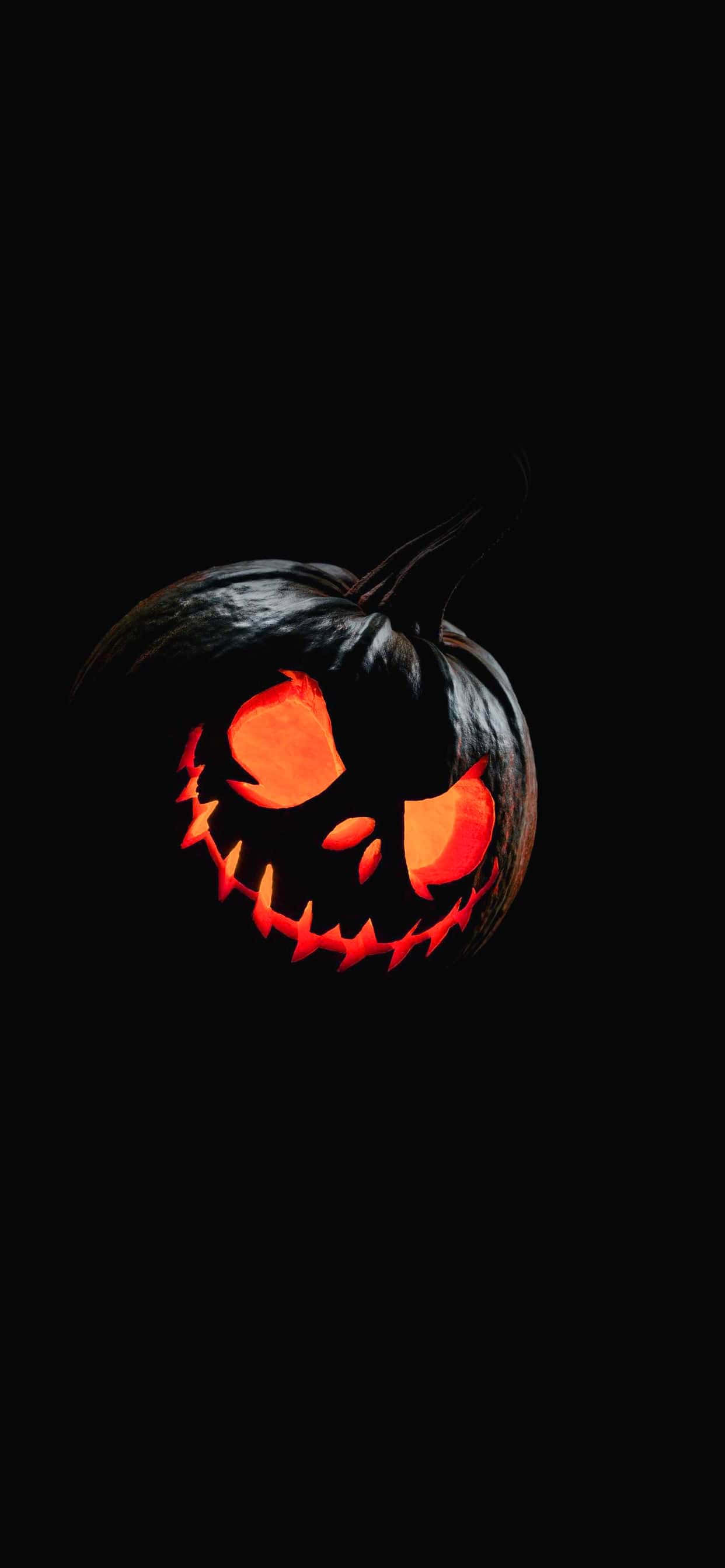 万圣节南瓜高清壁纸 壁纸