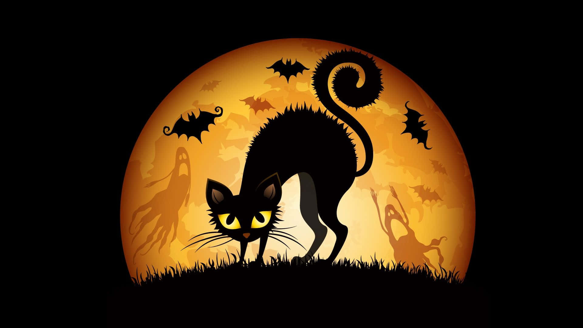 万圣节猫咪图片 诡异惊悚 壁纸
