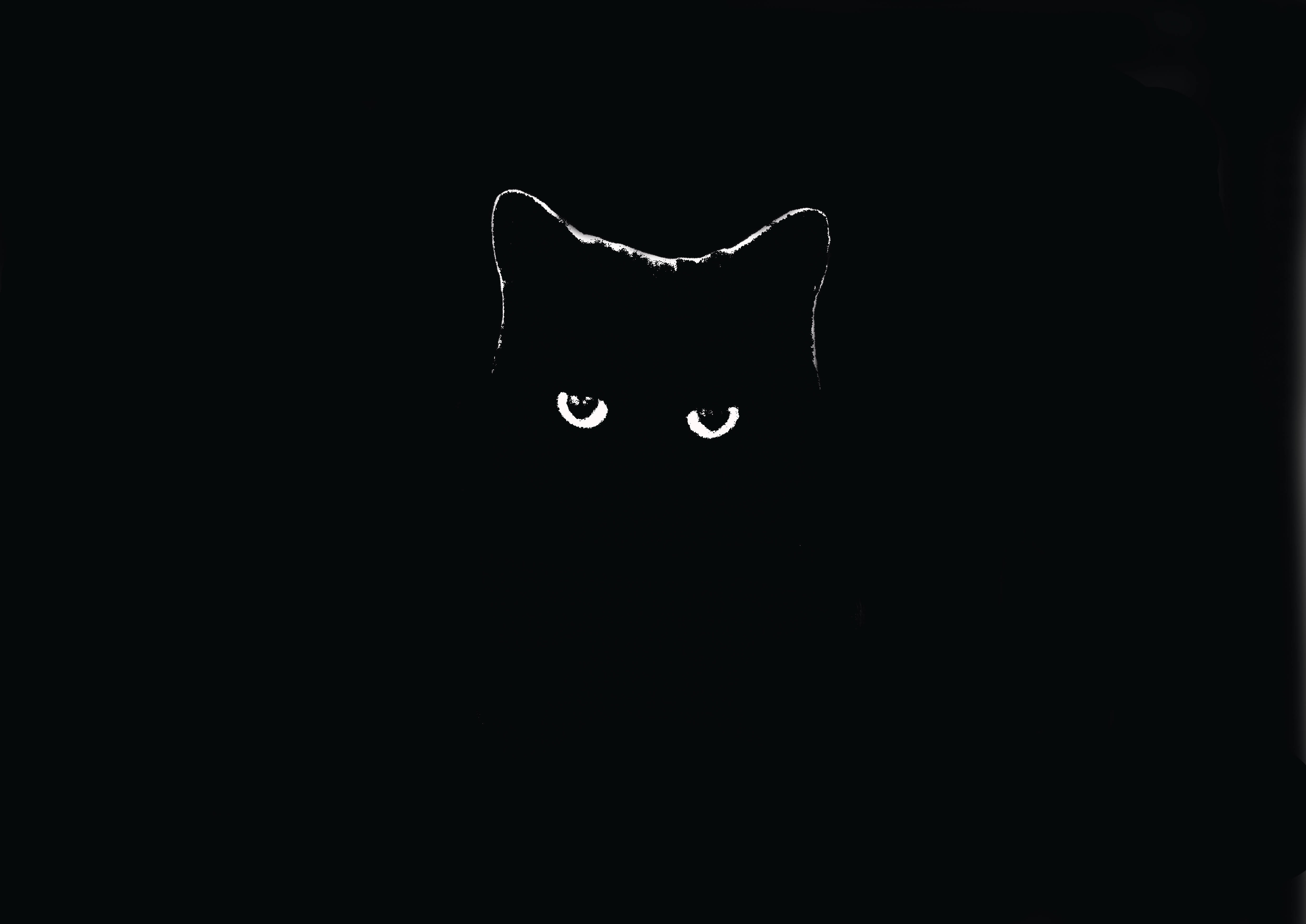 不可思议的黑猫暗黑4K 壁纸