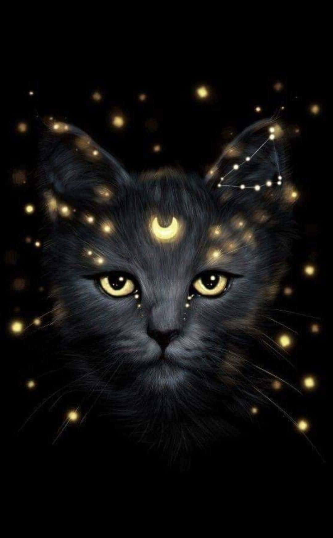 与银河猫一起探索宇宙 壁纸