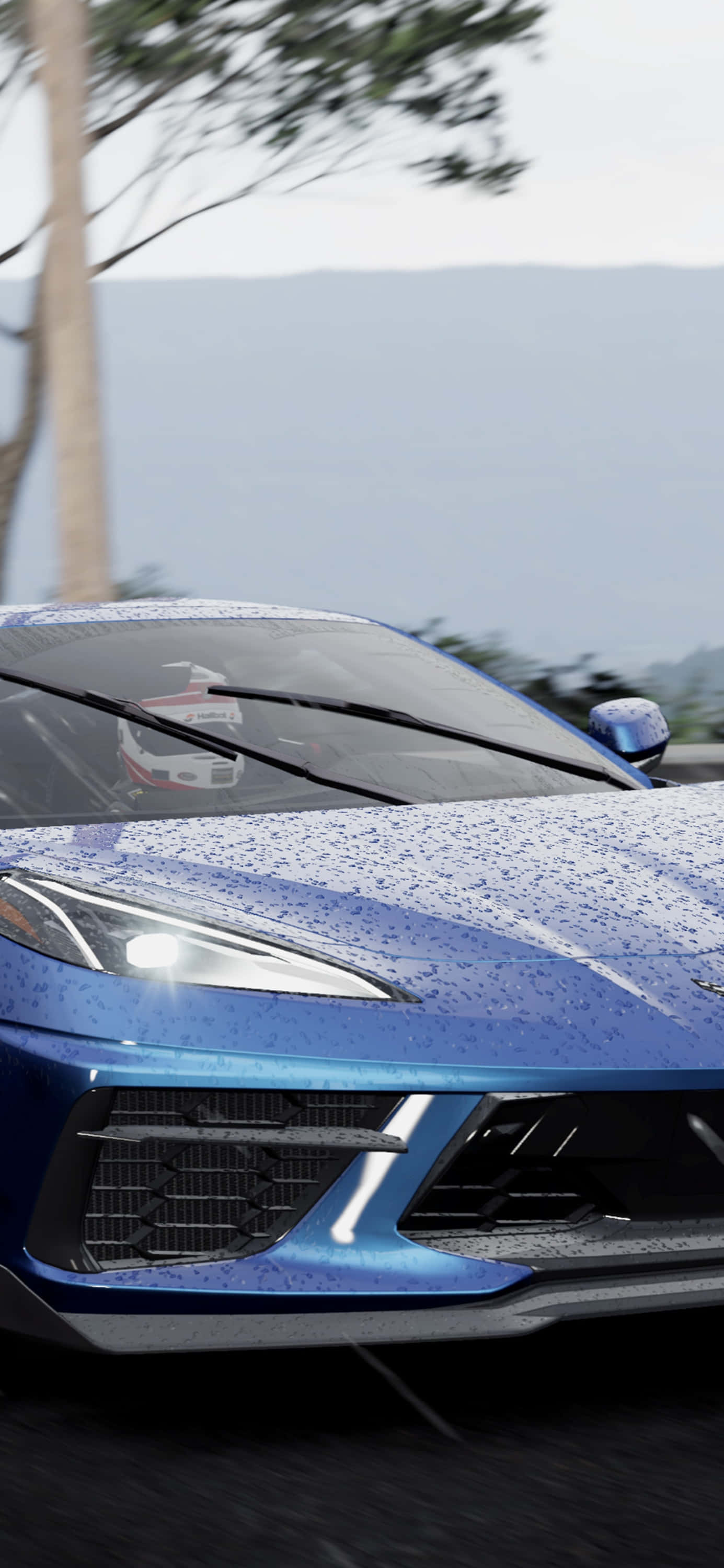 世界知名赛车游戏《Project Cars 2》中绚丽激昂的镜头 壁纸