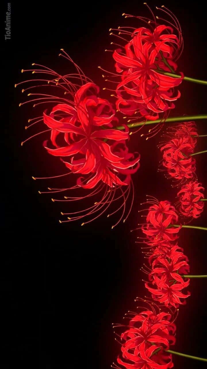 东京喰种花朵