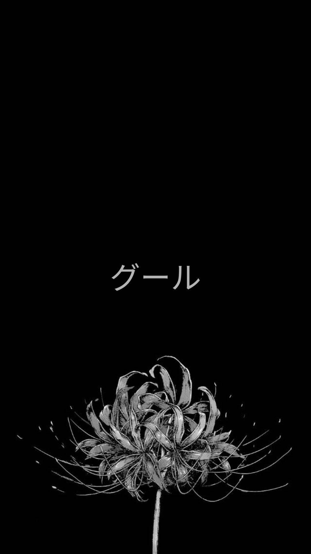 东京喰种美学：一朵凋零的花 壁纸