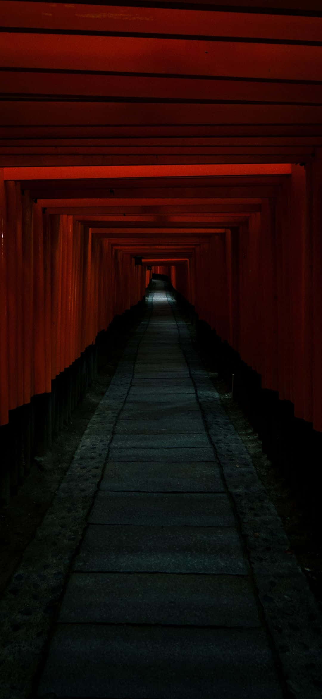 日本东京壮观的夜景天际线 壁纸