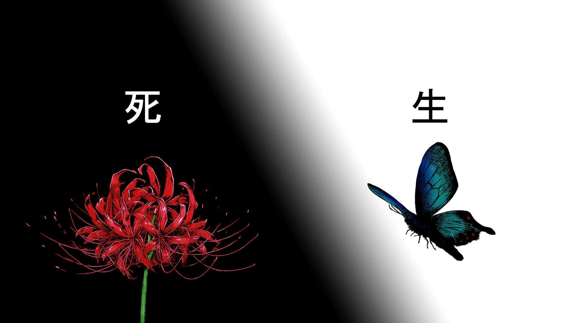 东京食尸鬼花