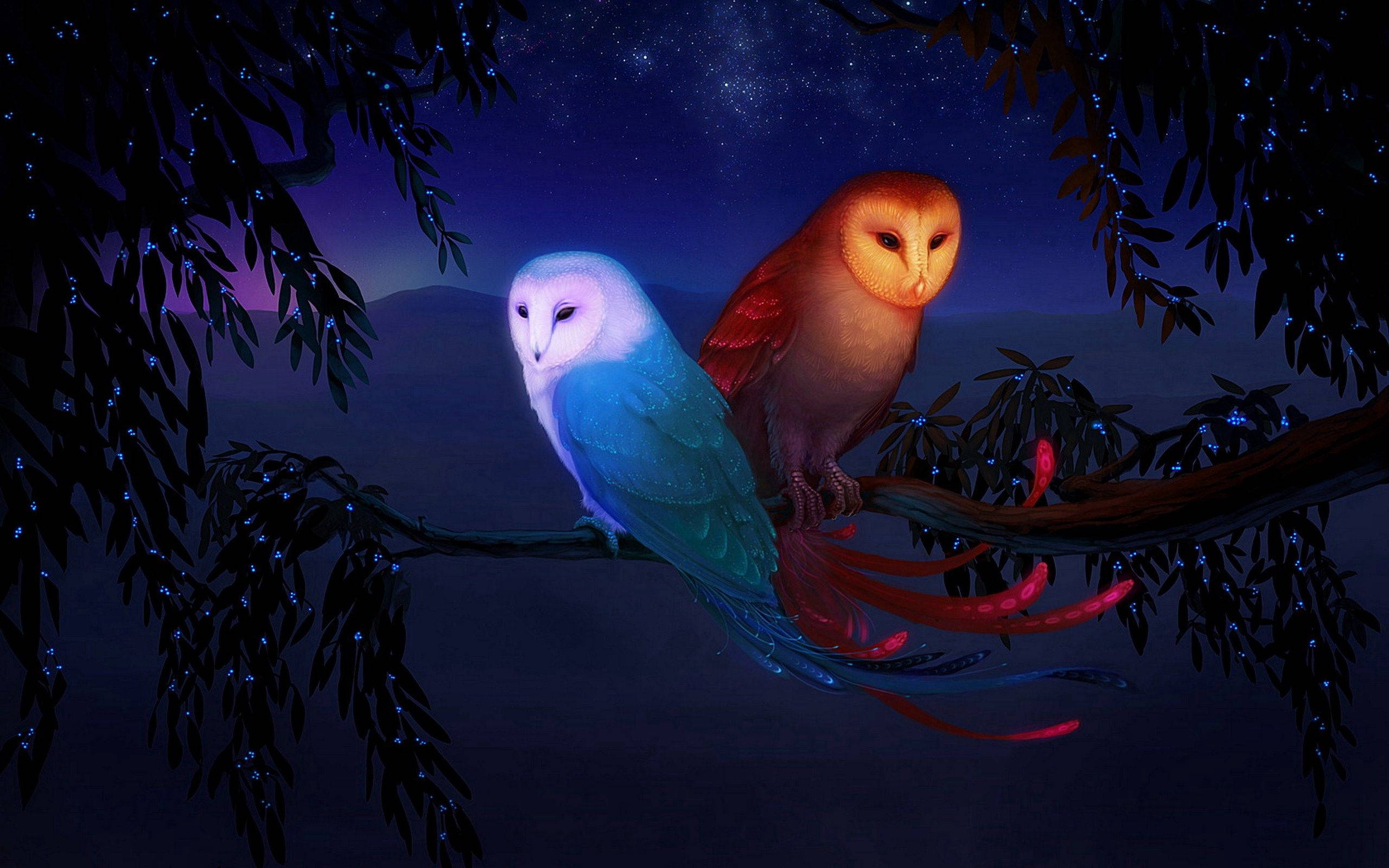 两只猫头鹰立于夜景之中 壁纸