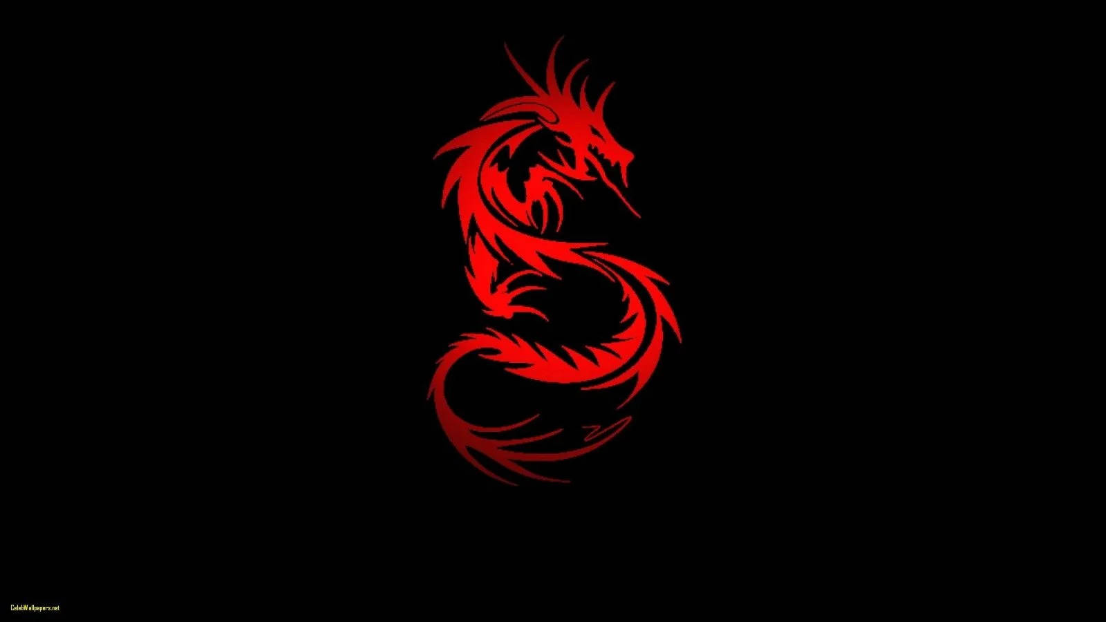 中国S形红龙 壁纸