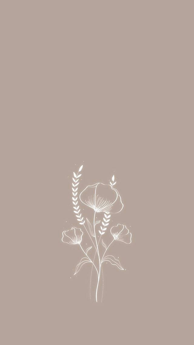 中性色调iPhone花卉艺术 壁纸