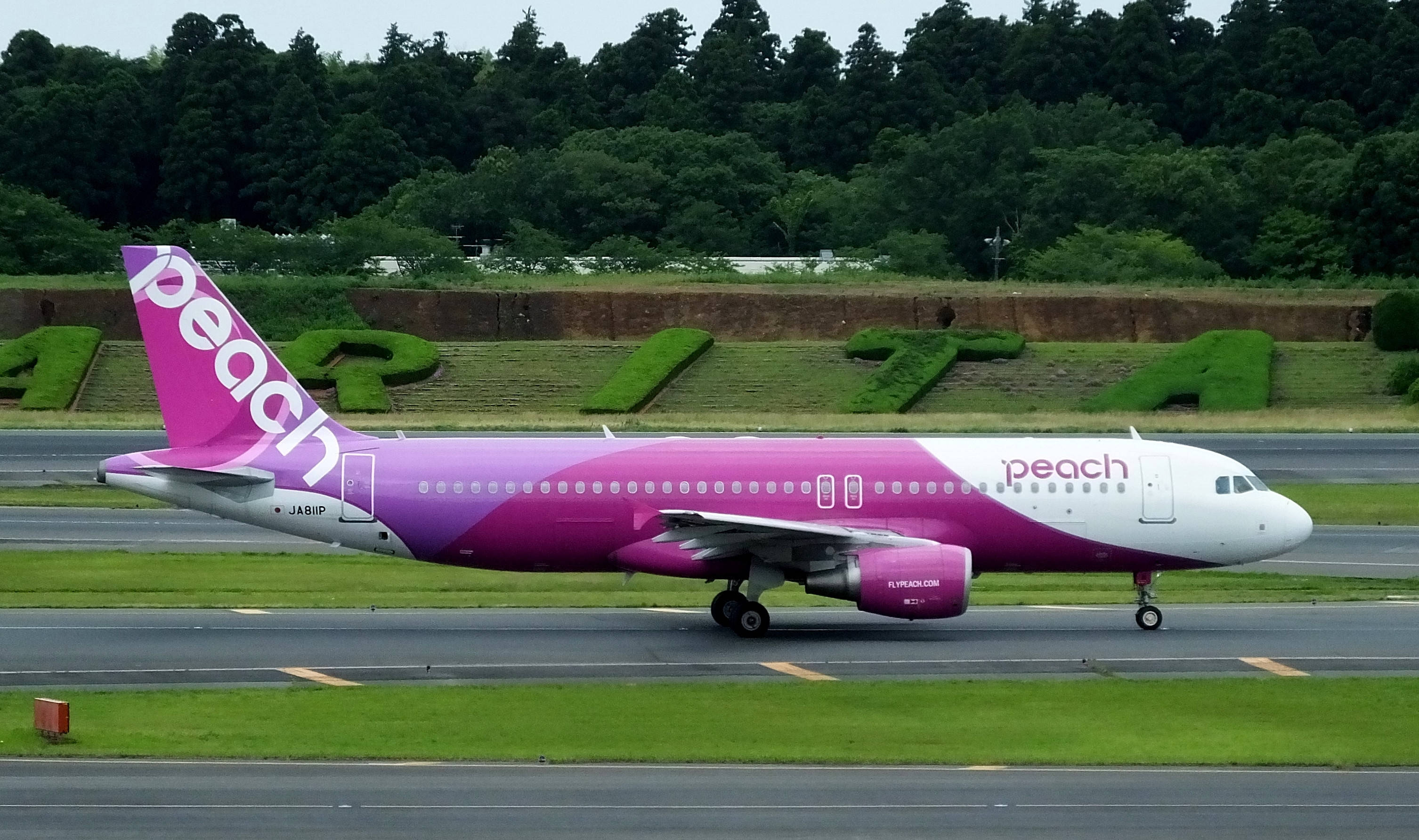 乐桃航空成田机场 壁纸