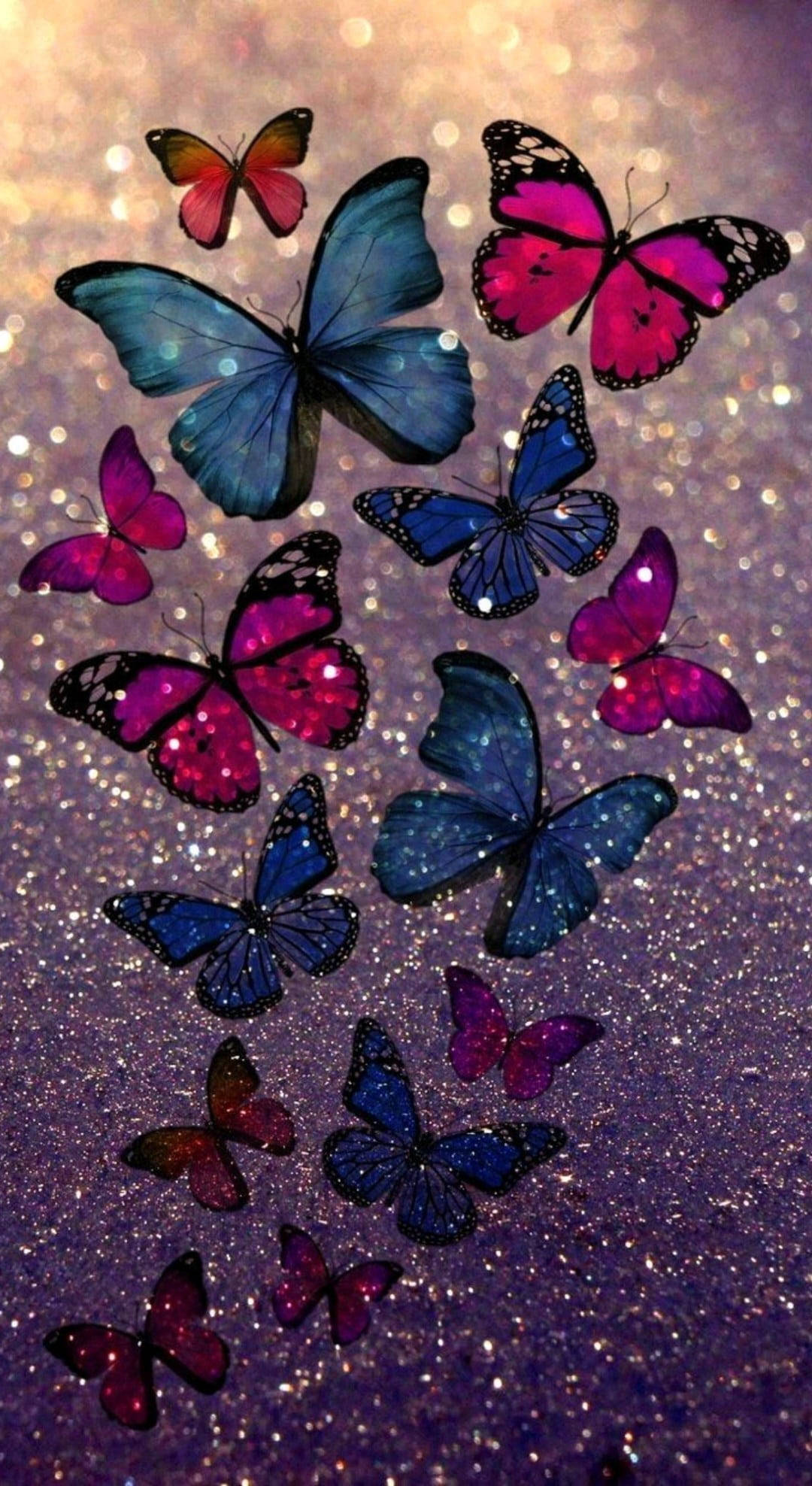 五彩蝴蝶 壁纸