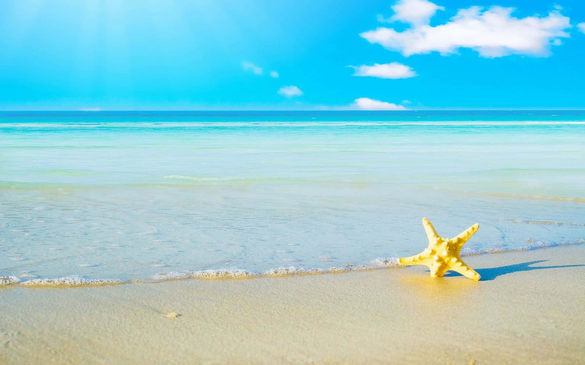 享受夏日的温暖与四周的美景 壁纸