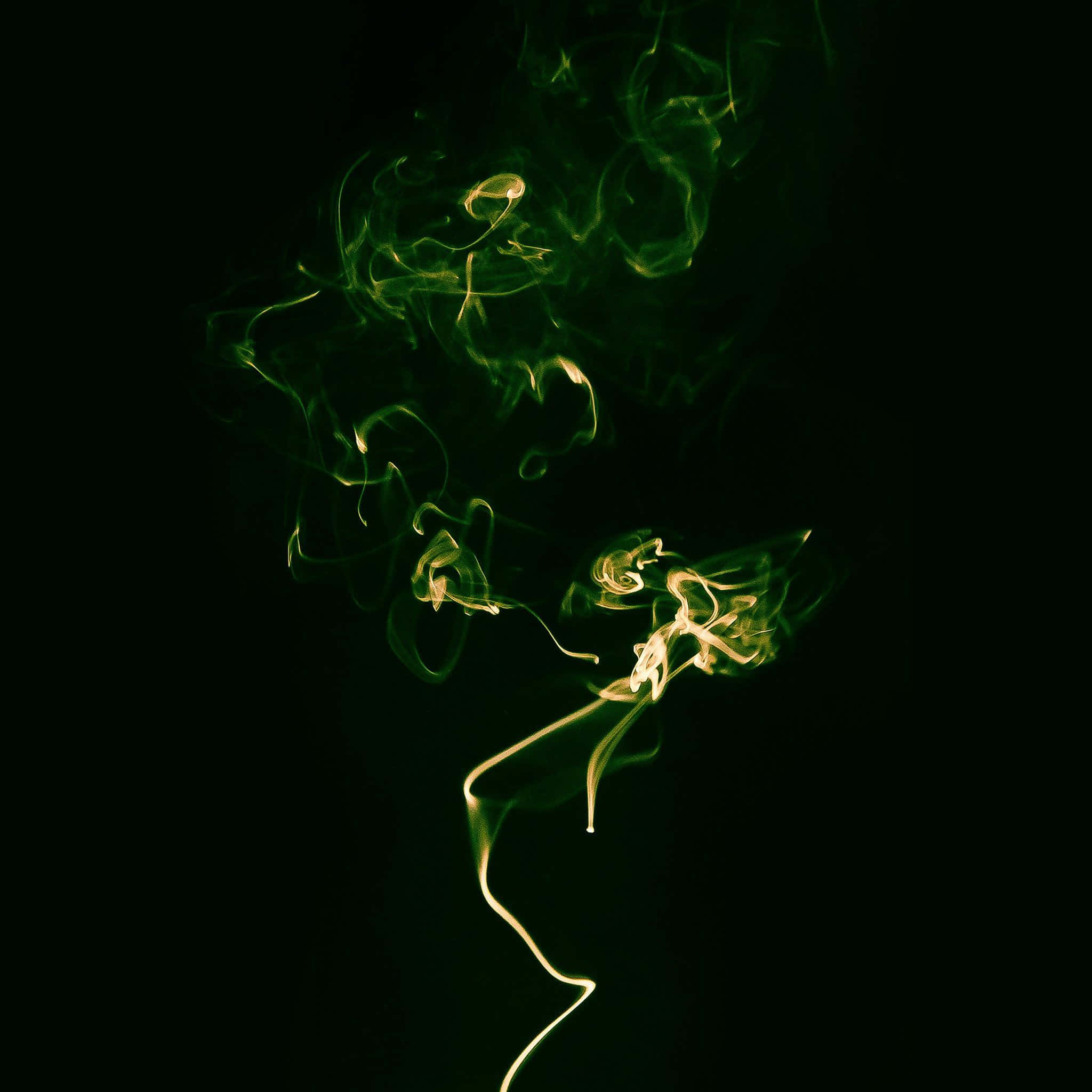 享受深绿色美学的质朴之美 壁纸