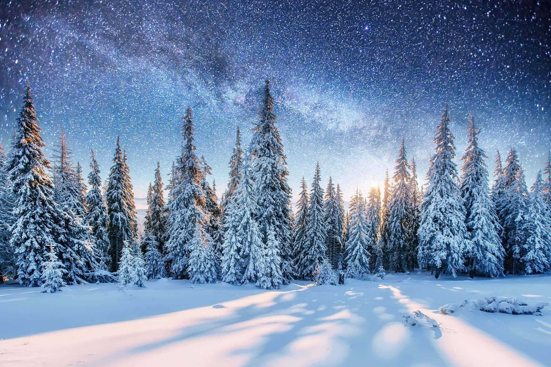 令人惊叹的冬日画作，迷人的白雪与美丽的自然风景交织 壁纸
