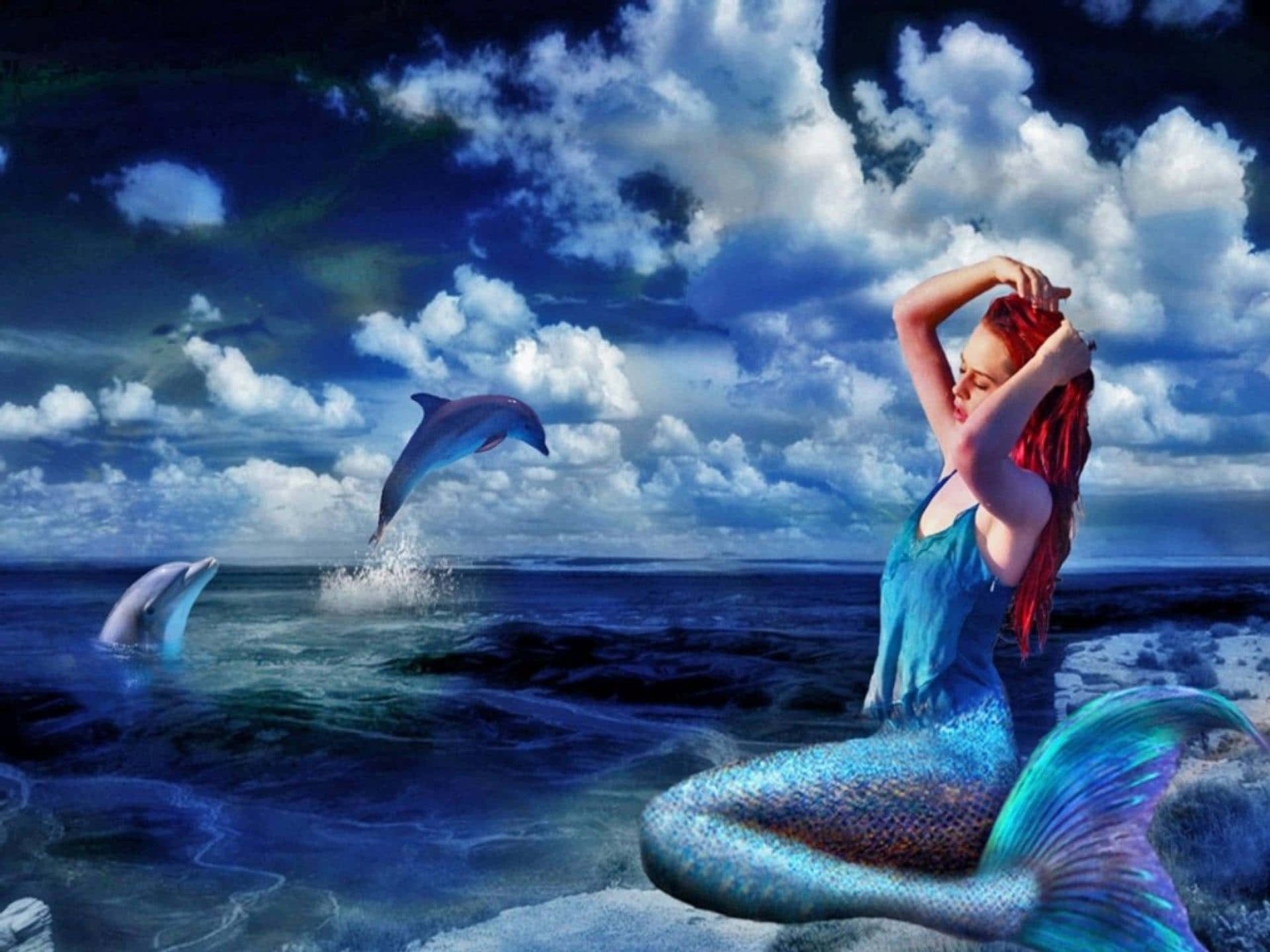 优雅美人鱼与海豚 壁纸