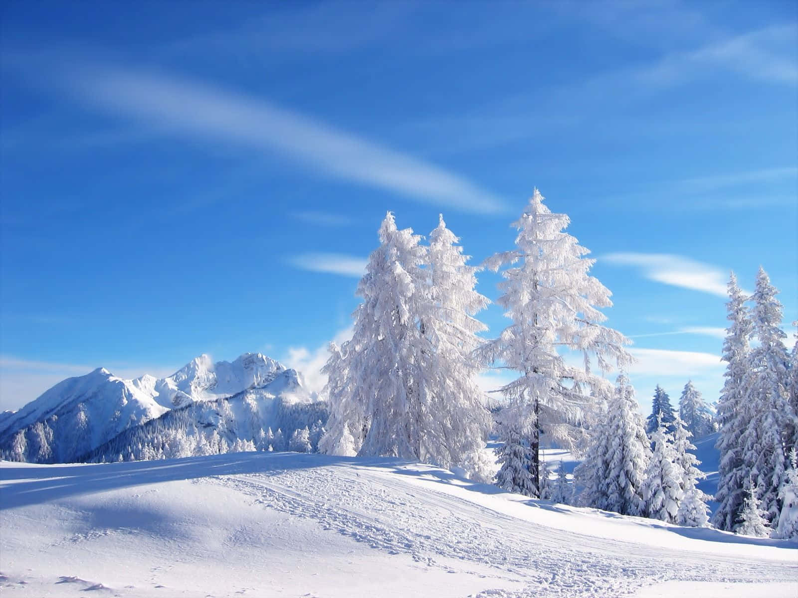 俄罗斯冬季雪景风光 壁纸