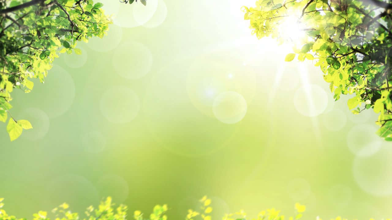 俯瞰无尽海滩的风景之美 壁纸
