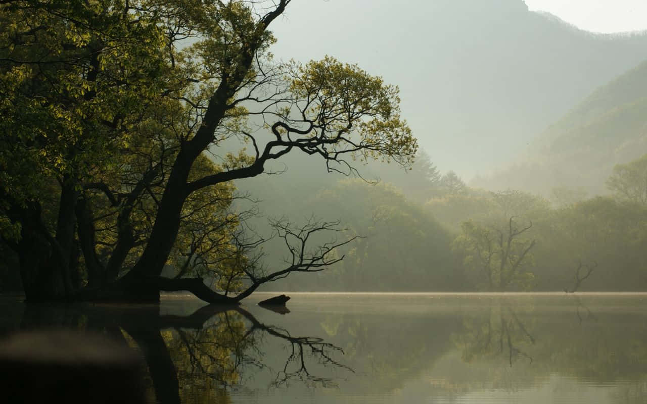 内华达山脉壮丽景观 壁纸