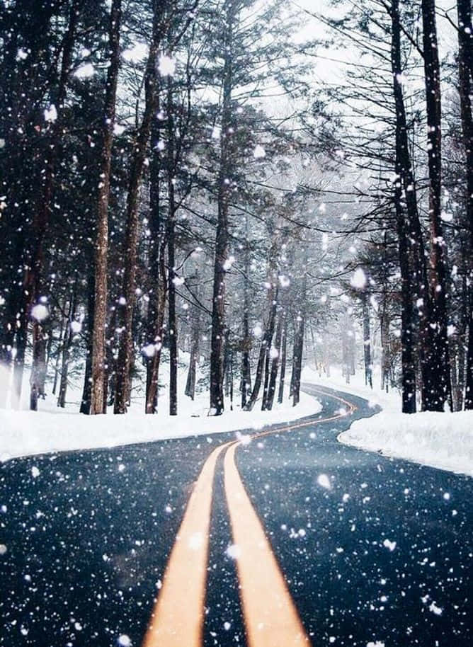 冬日仙境：森林中的雪径 壁纸