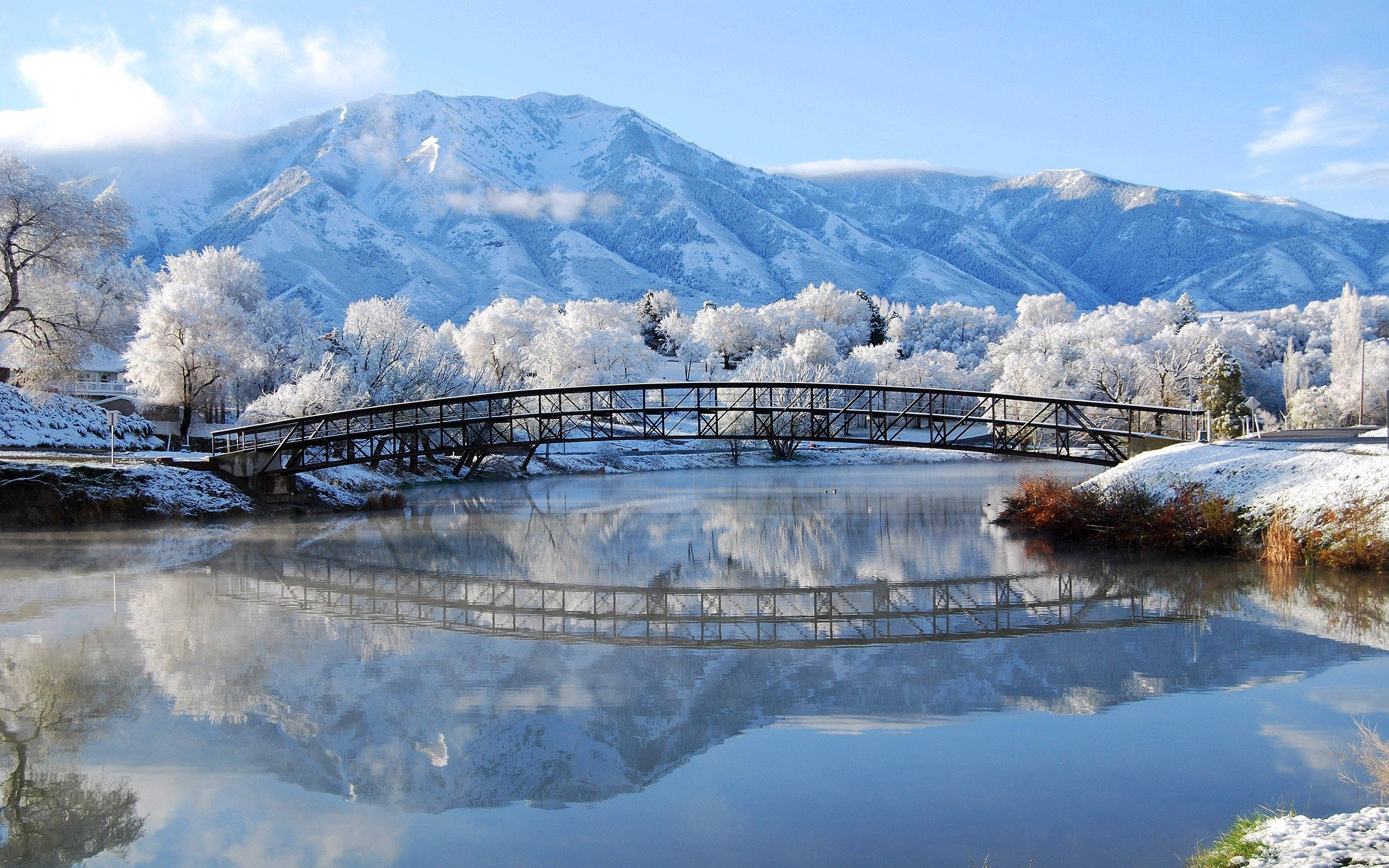 冬日桥梁风景 壁纸