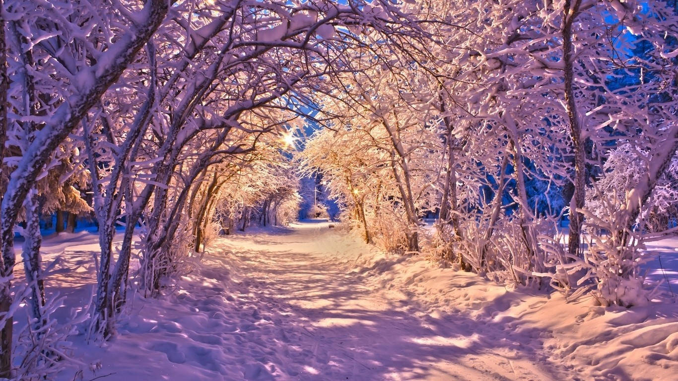 冬日雪景隧道 壁纸