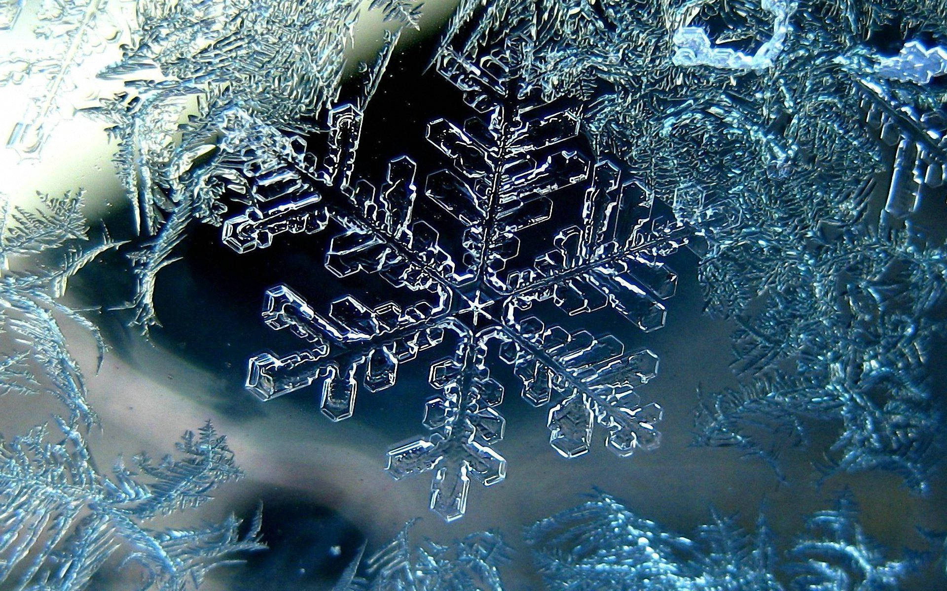 冰晶雪花 壁纸