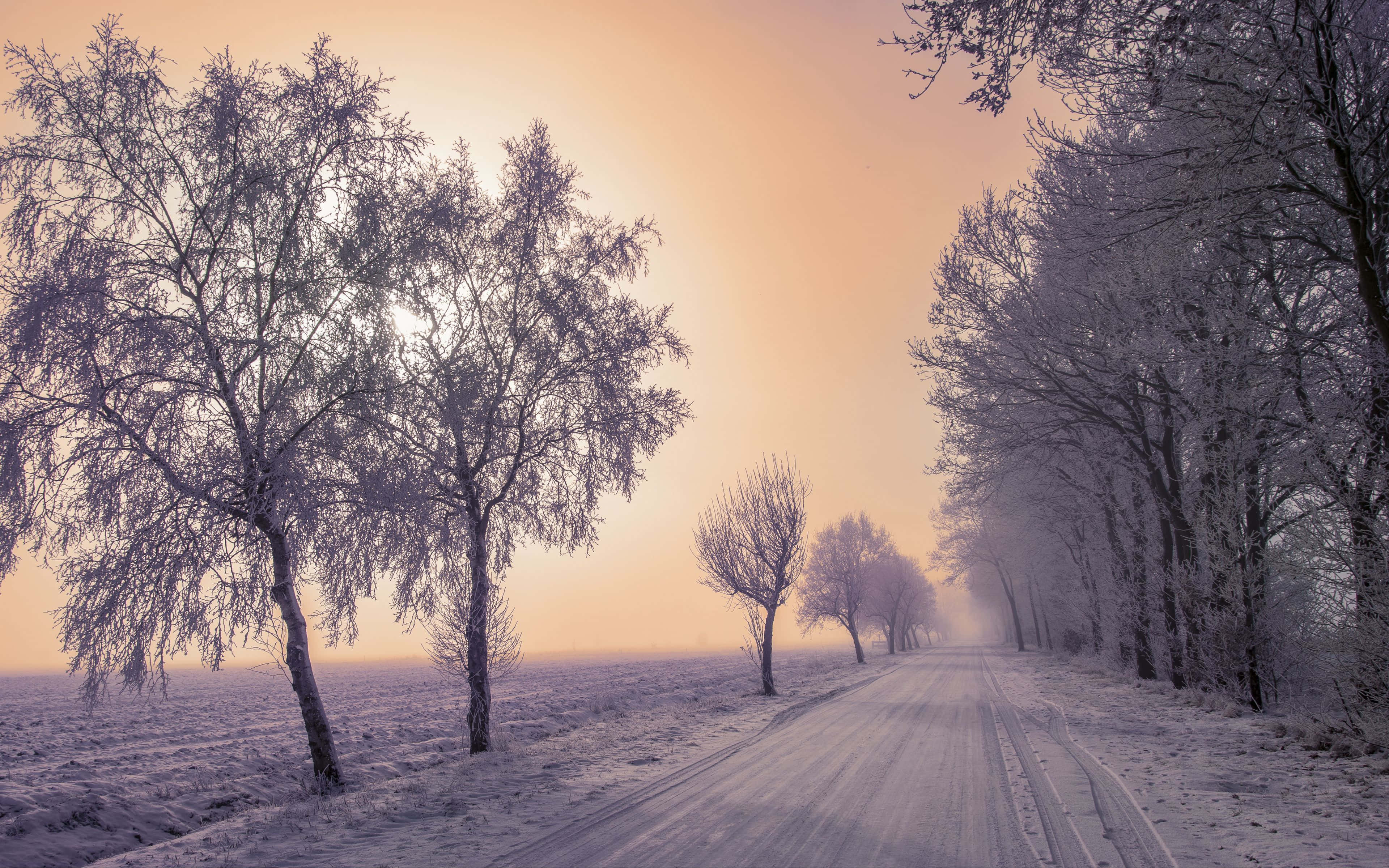冰雪美景中蜿蜒的滑溜冰路 壁纸