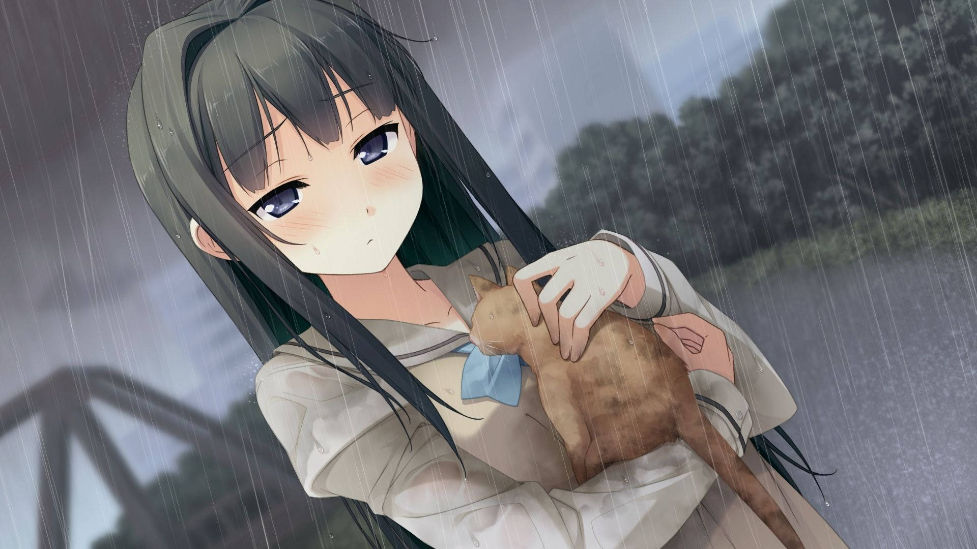 动漫女孩抱猫夜核 壁纸