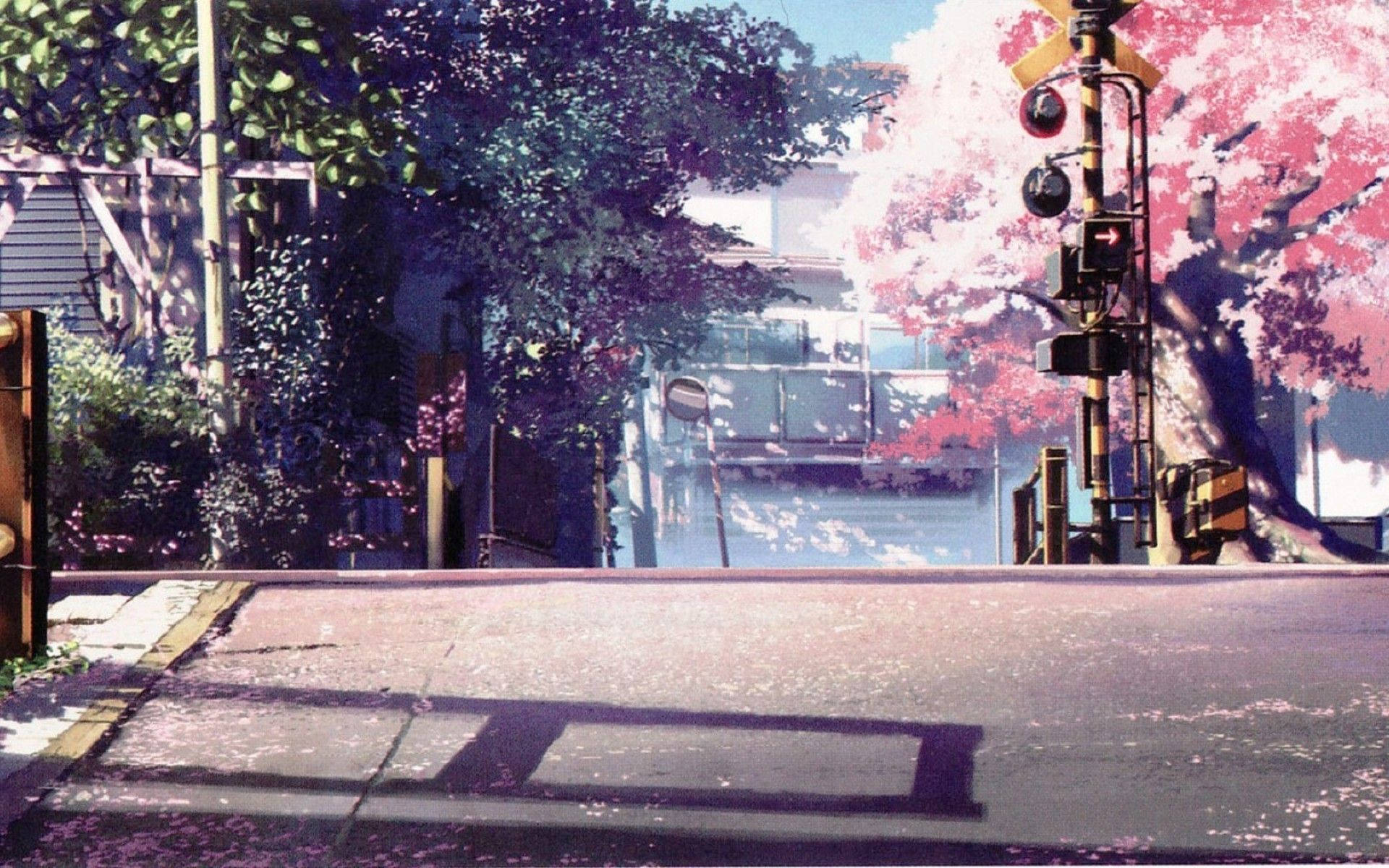 动漫风景樱花 壁纸