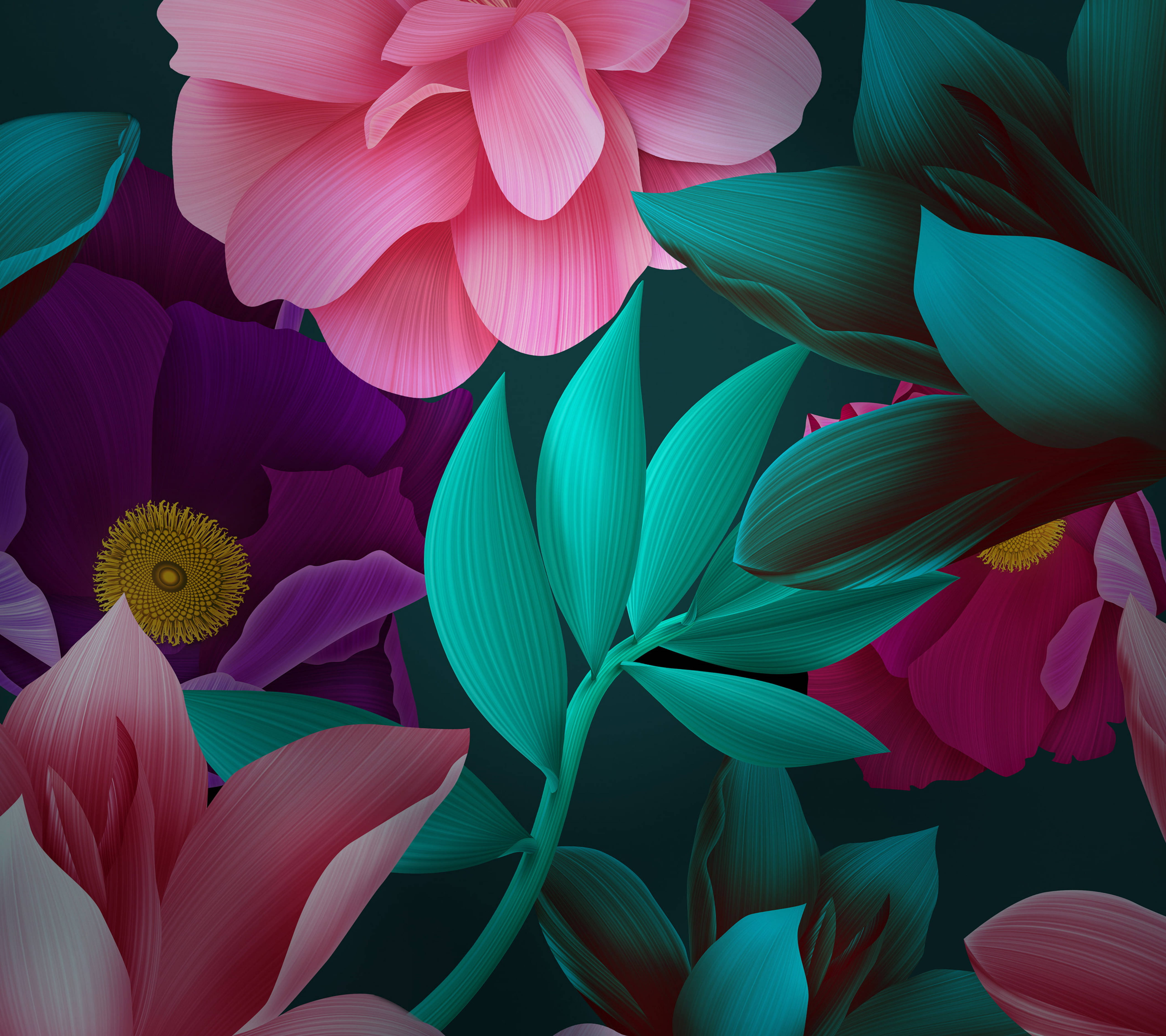 华为自然花朵 壁纸