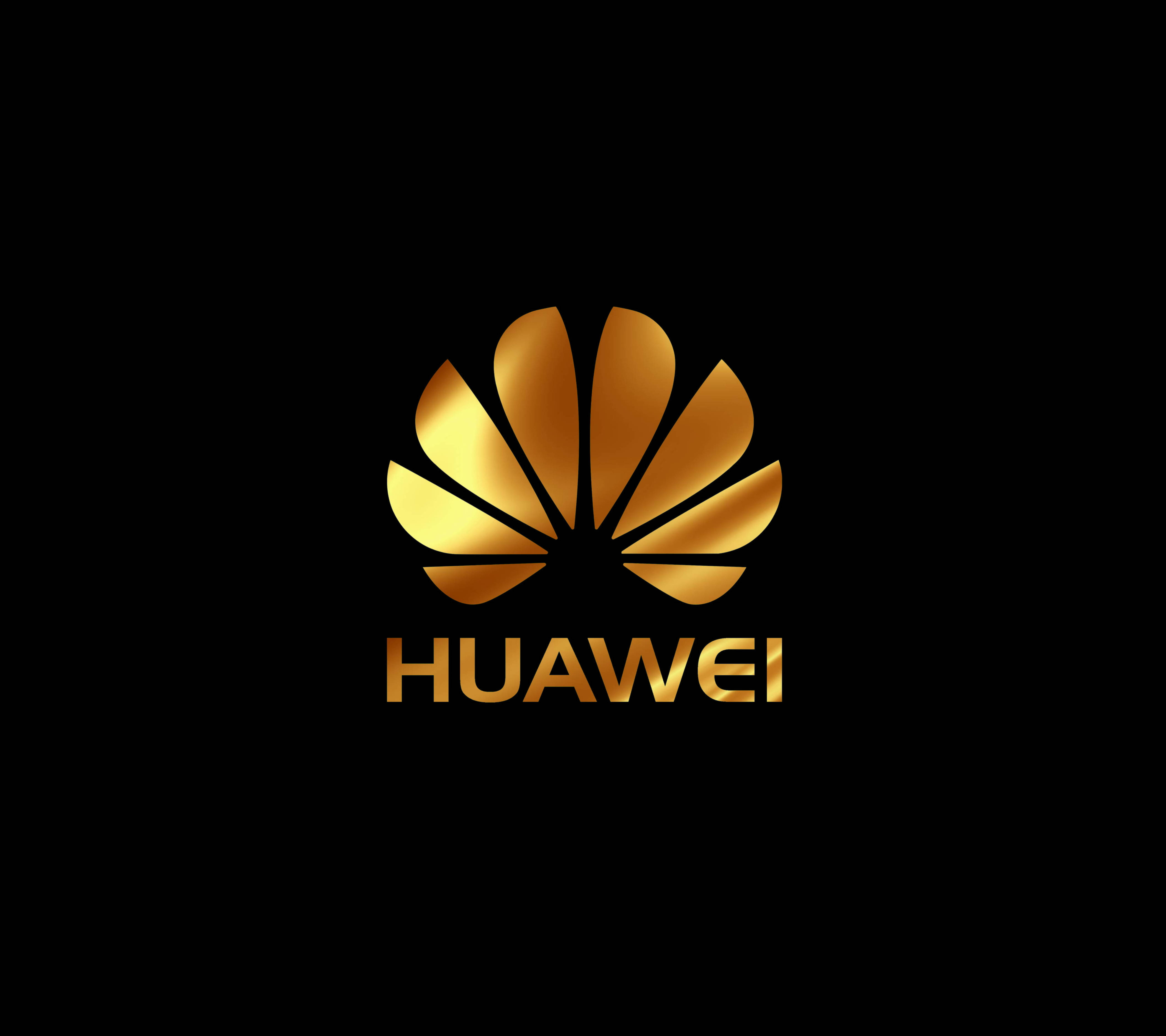 华为金色品牌标志 壁纸