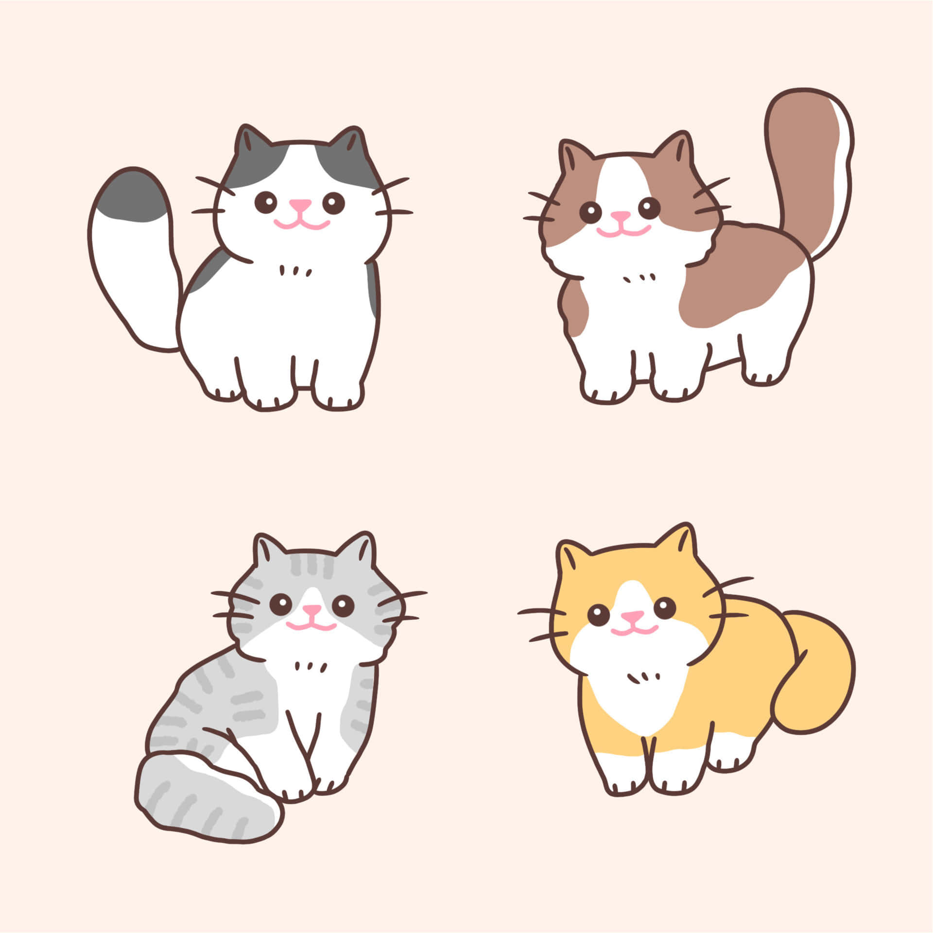 卡通猫咪正在阳光下打盹 壁纸