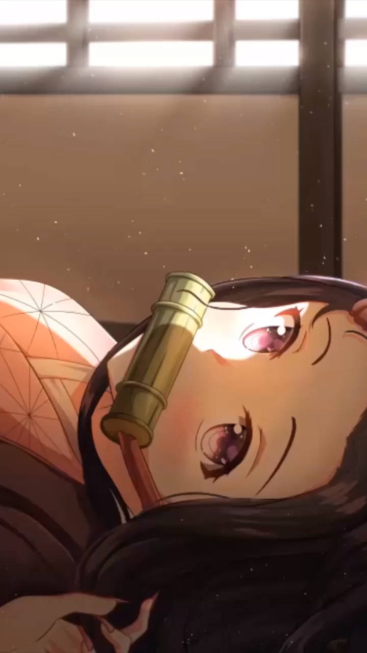 可爱动漫头像 灶门祢豆子 壁纸