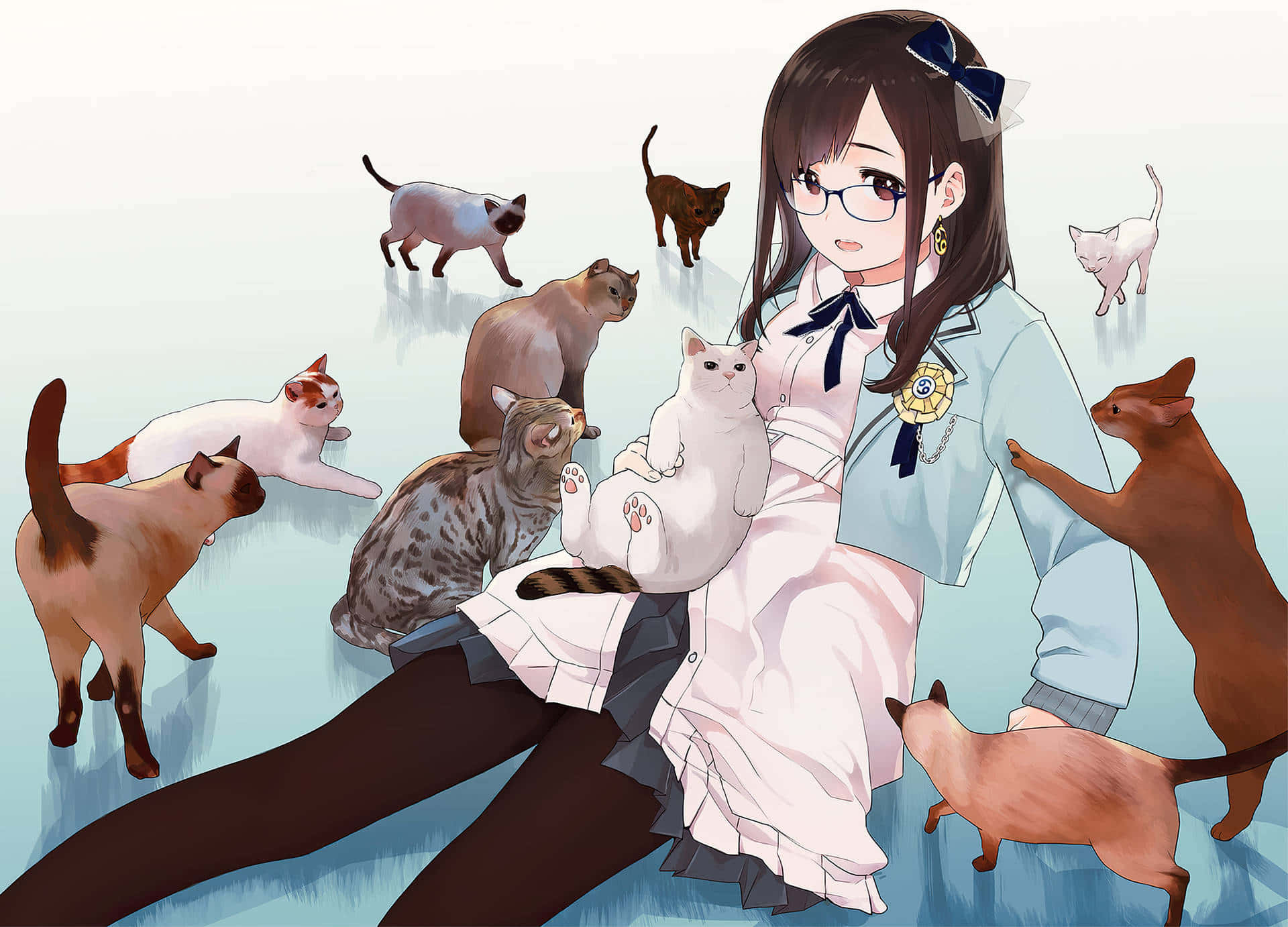 可爱动漫猫咪享用巧克力 壁纸