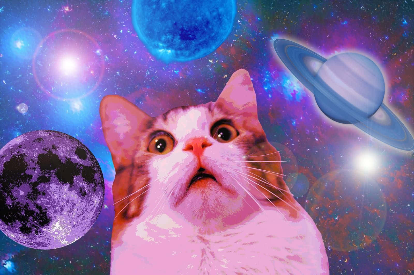 可爱搞笑猫咪震惊脸星空背景图片 壁纸