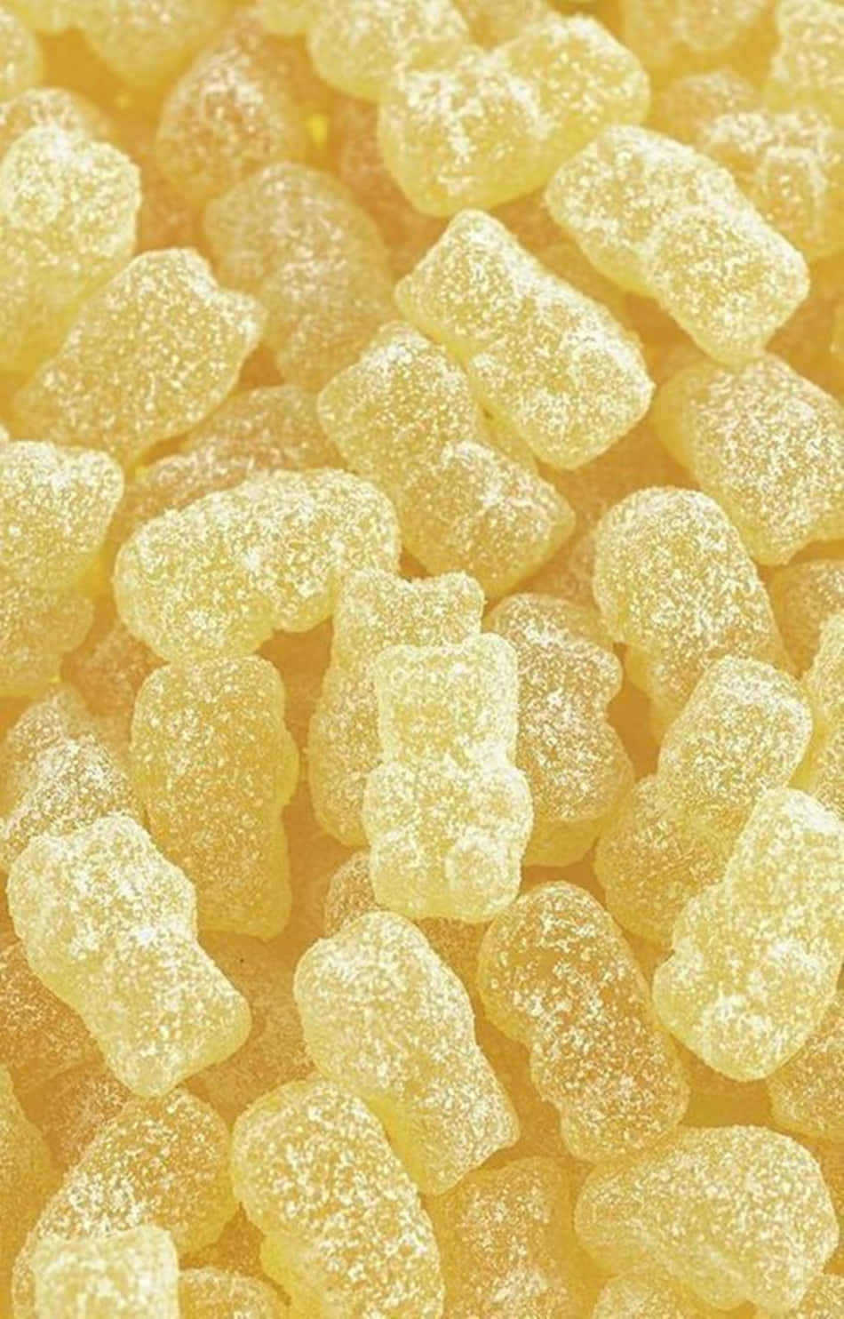 可爱淡黄色小熊软糖 壁纸