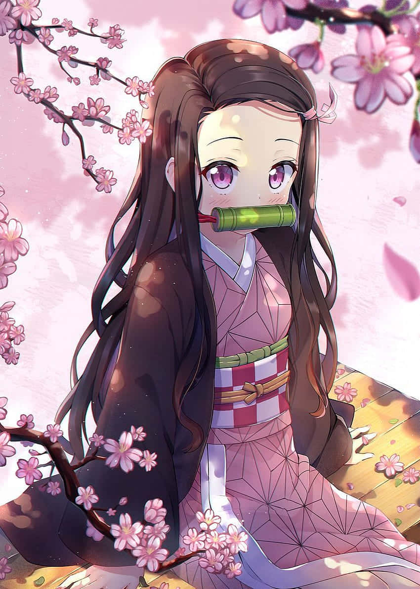 可爱灶门祢豆子樱花美学