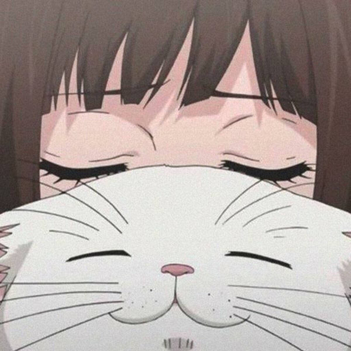 可爱猫娘头像：白猫与动漫少女 壁纸